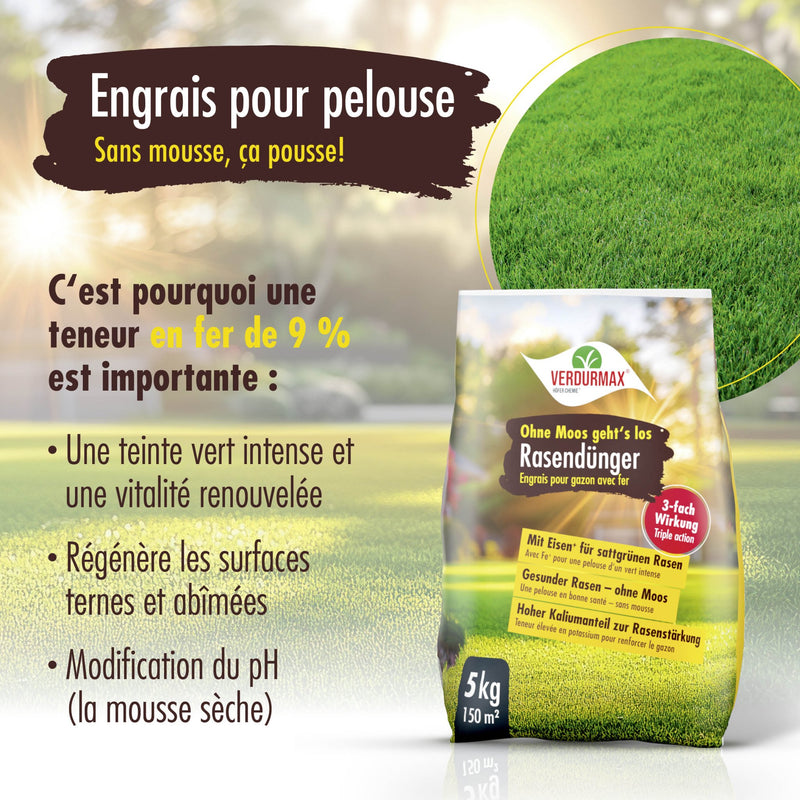5 kg VERDURMAX Engrais pour pelouse contenant du fer
