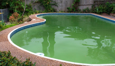 Trübes Poolwasser? Hier finden Sie Lösungen für kristallklares Wasser