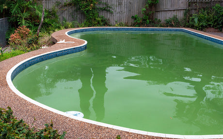 Mein Pool ist grün - was tun? Die Lösung für glasklares Wasser