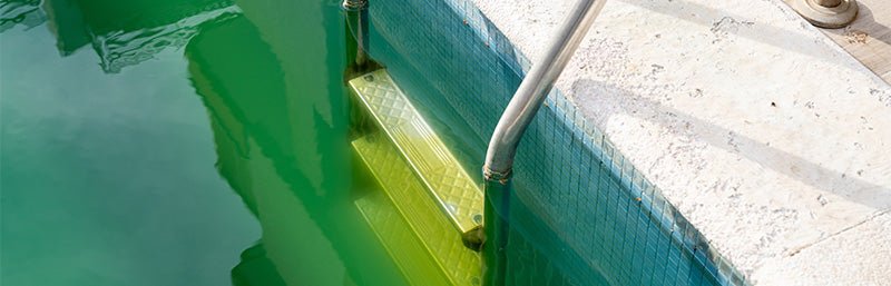 Poolleiter in grünem Wasser