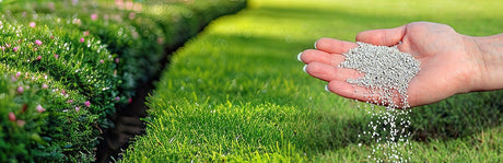 Eine Hand über einem grünen Rasen.