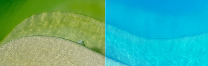 Das Poolwasser wechselt seine Farbe von grün zu blau