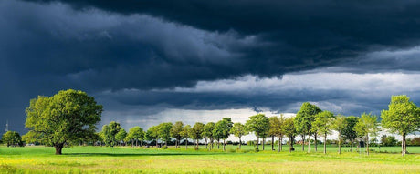 Ein Gewitter zieht über einer Allee auf 