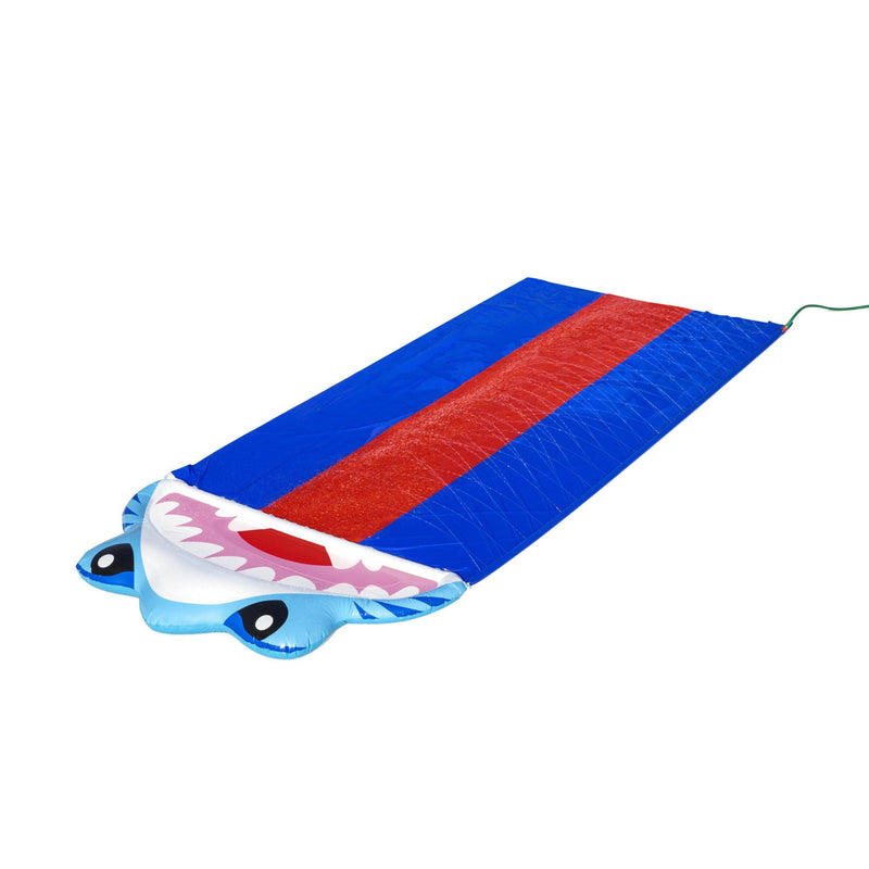 Toboggan Requin