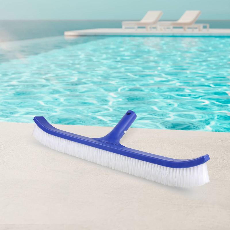 Brosse classique de paroi pour piscine