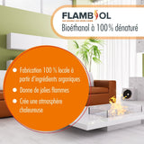 20 L FLAMBIOL® Bioethanol 96,6% Premium für Ethanolkamin in Kanistern - Höfer Chemie GmbH