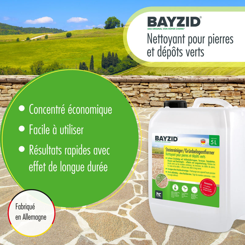 5 L BAYZID® Steinreiniger / Grünbelag-Entferner