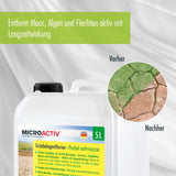 MICROACTIV® Grünbelagentferner Set