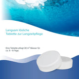 5 kg BAYZID® Multitabs 200g 5in1 für Pools in Eimer - Höfer Chemie GmbH