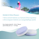 1 kg BAYZID® 2 - Phasen - Multitabs 200g 6in1 - Höfer Chemie GmbH
