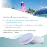 1 kg BAYZID® 2 - Phasen - Multitabs 200g 6in1 - Höfer Chemie GmbH