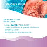 5 L BAYZID® Poolclear - Trübungsbeseitigung für Pool - Filter mit Kartuschen & Filterballs - Höfer Chemie GmbH