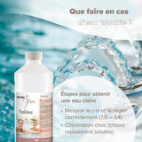 1L BAYZID® SPA Poolclear Trübungsbeseitigung - Höfer Chemie GmbH