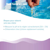 1 L BAYZID® Poolclear - Trübungsbeseitigung für Pool-Filter mit Kartuschen & Filterballs - Höfer Chemie GmbH
