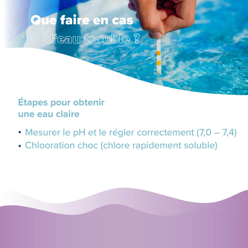 1 L BAYZID® Poolclear - Trübungsbeseitigung für Pool-Filter mit Kartuschen & Filterballs - Höfer Chemie GmbH