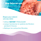 1 L BAYZID® Poolclear - Trübungsbeseitigung für Pool-Filter mit Kartuschen & Filterballs - Höfer Chemie GmbH