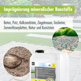 MICROACTIV® Grünbelagentferner Set