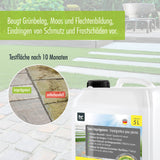 MICROACTIV® Grünbelagentferner Set