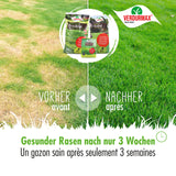 1 kg VERDURMAX® Rasensamen