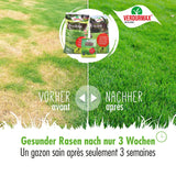 VERDURMAX® Frühlings - Set 1000 m² - Höfer Chemie GmbH