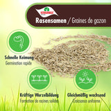 1 kg VERDURMAX® Semences de gazon